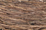 芦苇图片(中国芦苇图片：芦苇的生态价值与可持续利用)